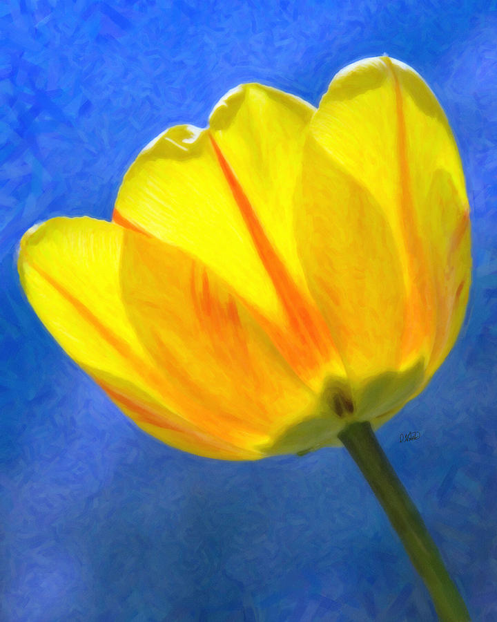 Tulip 2713 Painting by Dean Wittle