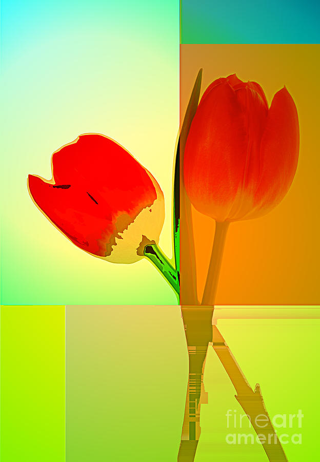 Tulip Abstract 2 Photograph by Charline Xia