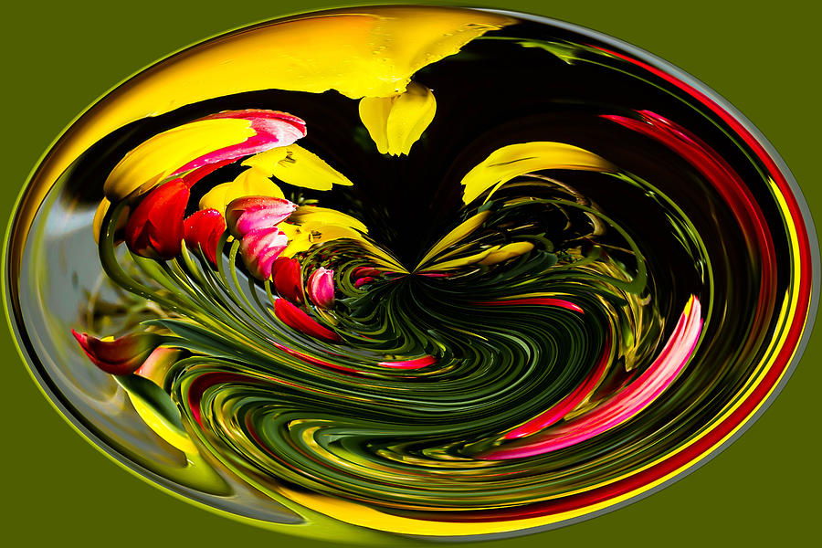 Tulip Abstract Photograph by Ron Roberts