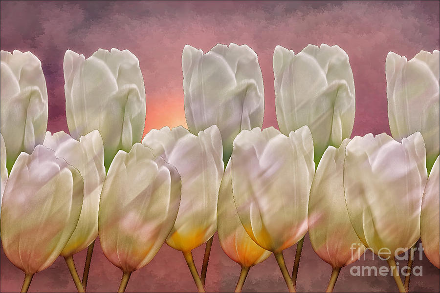 Flower Photograph - Tulip Abstract by Tom York Images