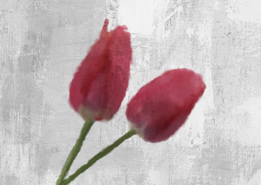 Tulip Digital Art - Tulip by Aged Pixel