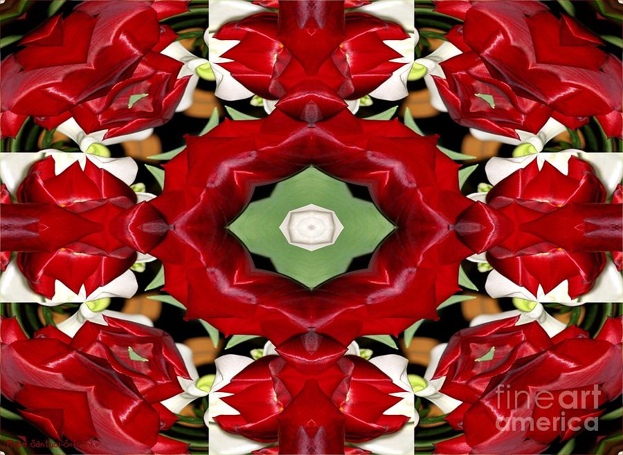 Tulip and Easter Lily Abstract 2 Photograph by Rose Santuci-Sofranko