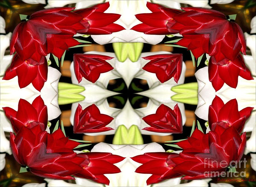 Flower Photograph - Tulip and Easter Lily Abstract by Rose Santuci-Sofranko