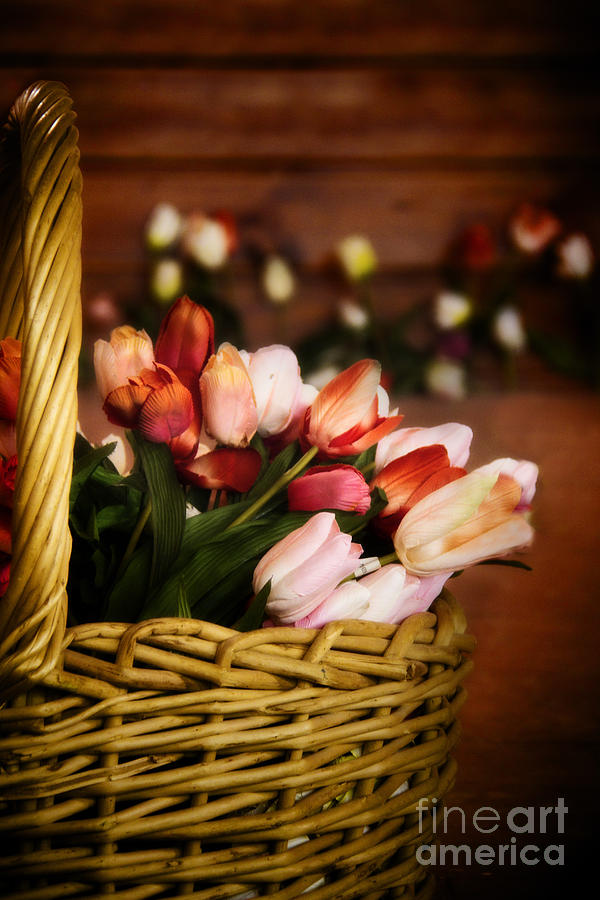 Tulip Basket Photograph by Margie Hurwich