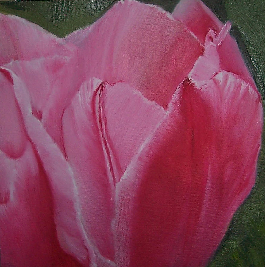 Tulip Blooming Painting by Claudia Goodell Tulip Blooming Painting by Claudia Goodell
