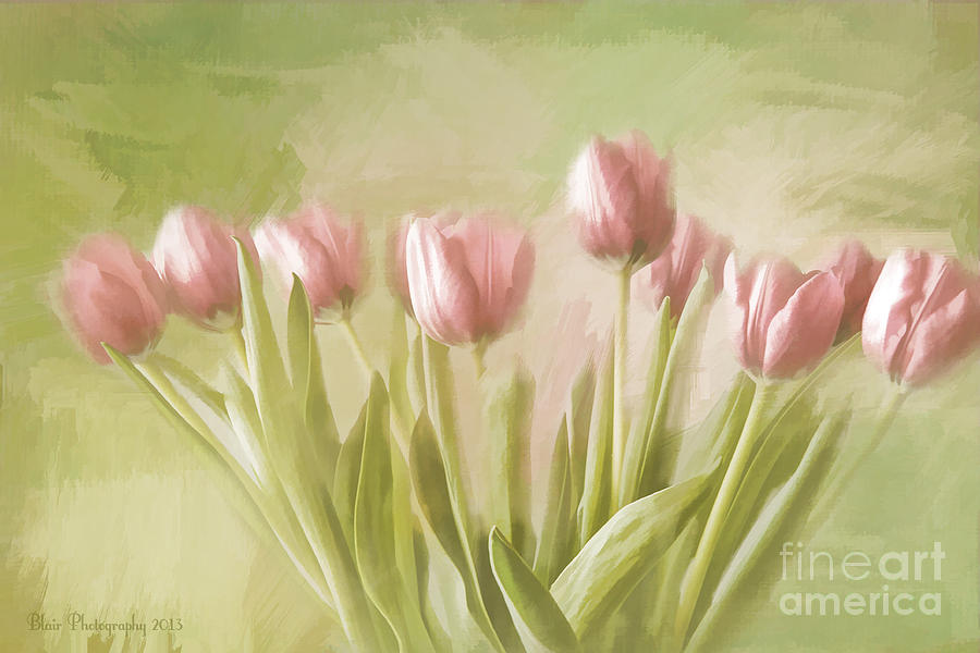 Tulip Bouquet Painting by Linda Blair