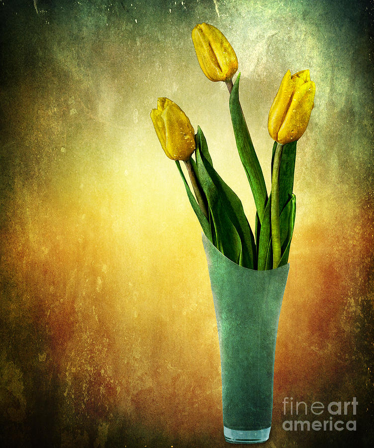 Tulip Bouquet Photograph by Shirley Mangini