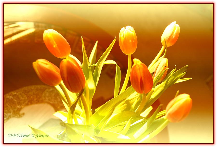 Spring Beauty Photograph - Tulip Brilliance by Sonali Gangane