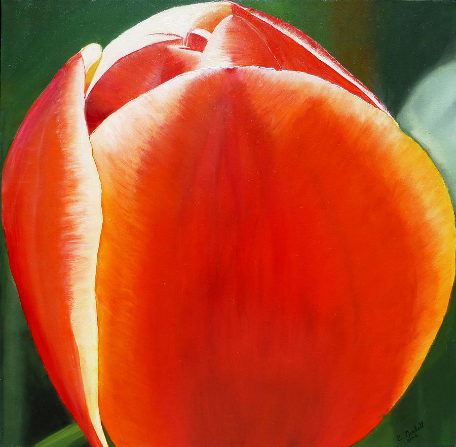 Tulip Painting by Claudia Goodell