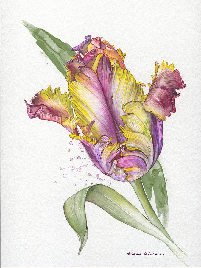 Tulip -  Elena Yakubovich Painting