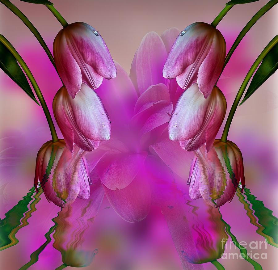 Tulip Fantasy Photograph by Shirley Mangini