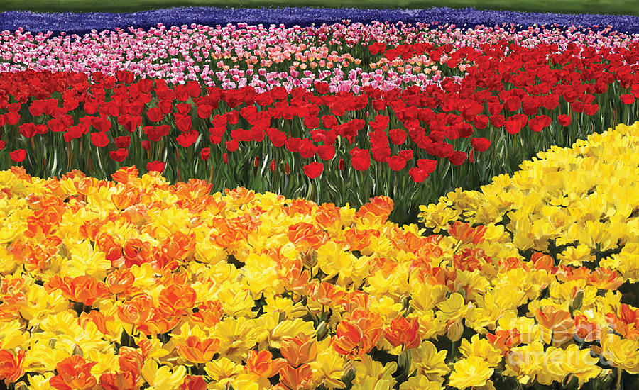 Flower Digital Art - Tulip Field by Tim Gilliland