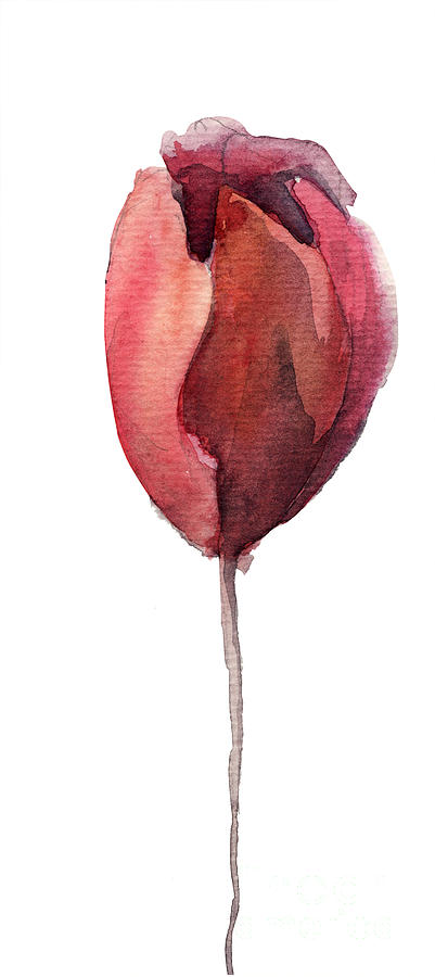 Tulip flower Painting by Regina Jershova