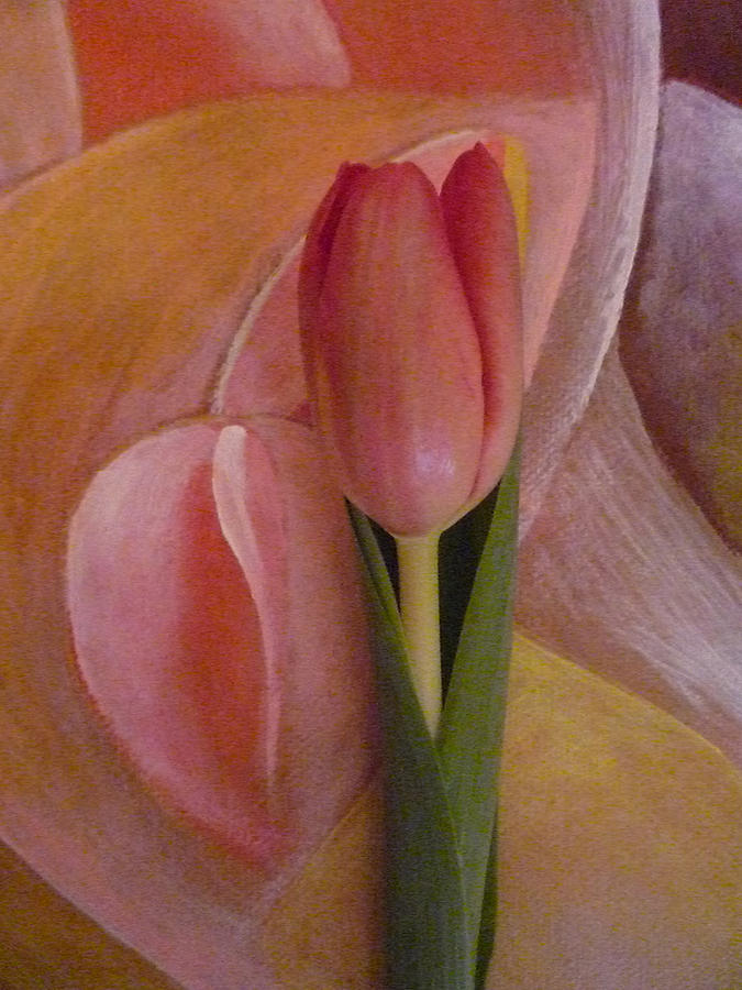 Tulip Photograph - Tulip Glory by George  Page