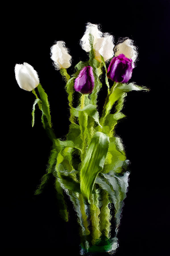 Tulip Impressions II Photograph by Penny Lisowski