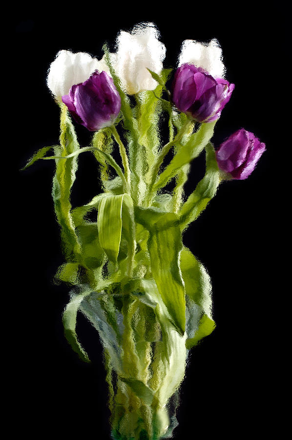 Tulip Impressions III Photograph by Penny Lisowski