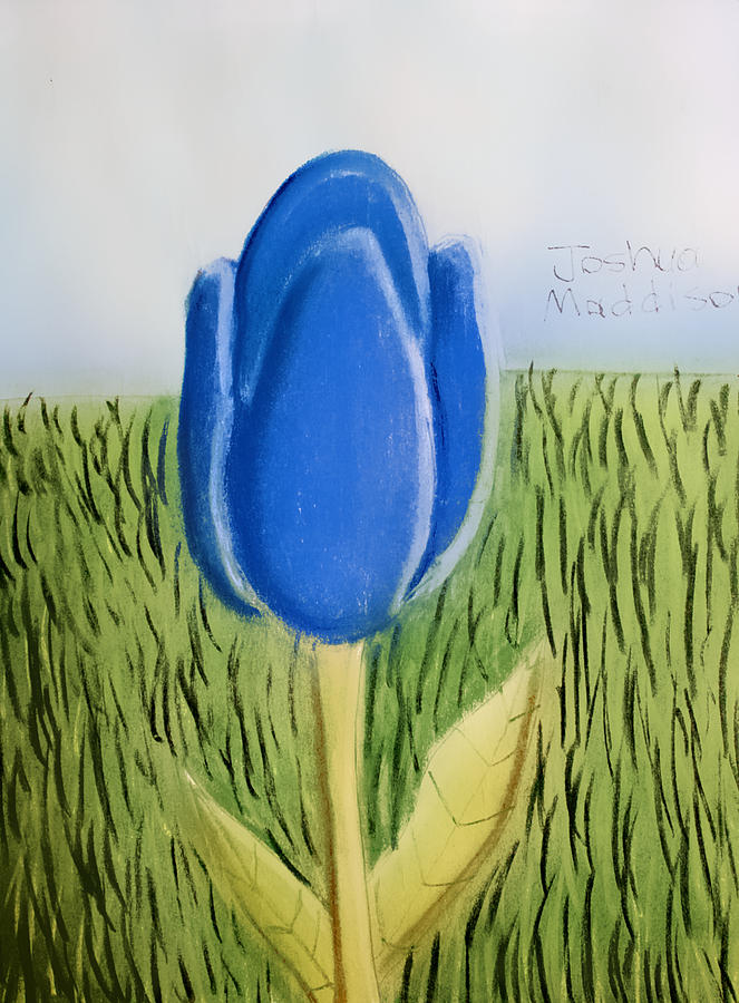 Tulip Pastel - Tulip by Joshua Maddison