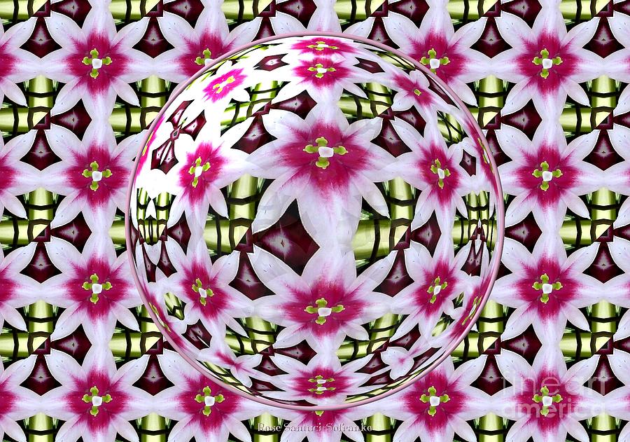 Tulip Kaleidoscope Under Glass Photograph by Rose Santuci-Sofranko