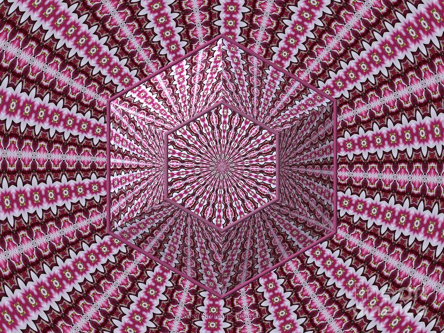 Tulip Kaleidoscope Under Hexagon Glass Photograph by Rose Santuci-Sofranko
