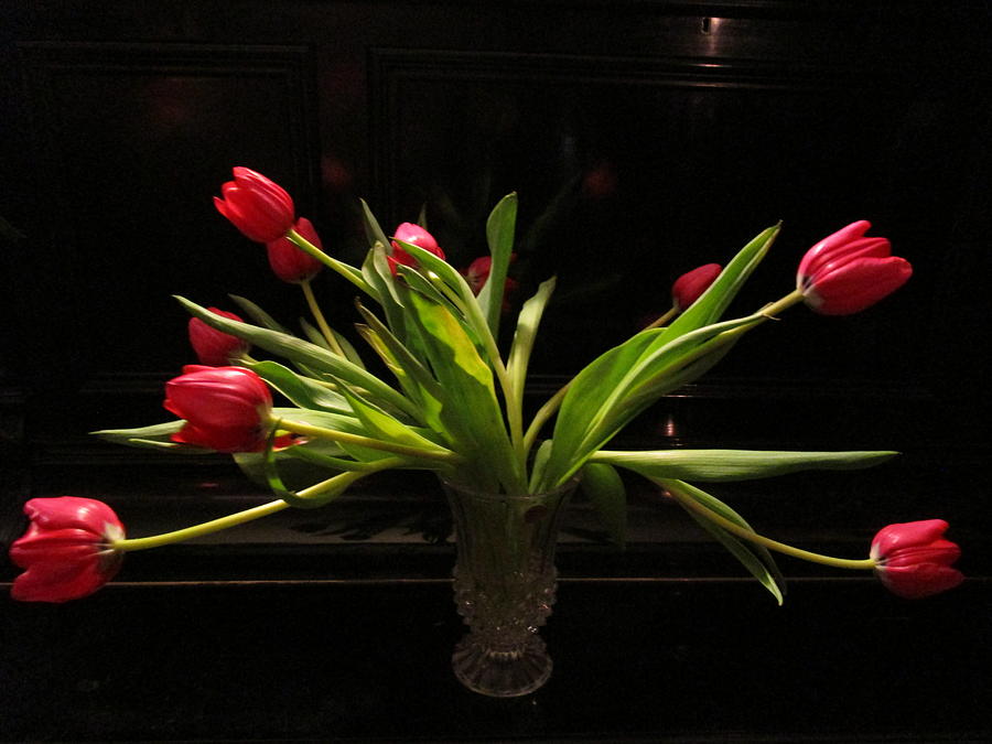 Flower Photograph - Tulip Mania 17 by Rosita Larsson