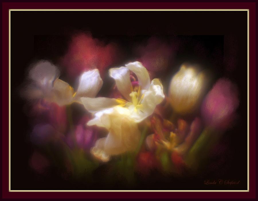 Tulip Medley Digital Art by Linda Seifried