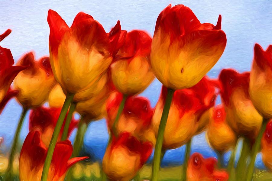 Tulip Reach Photograph by Rick Lawler
