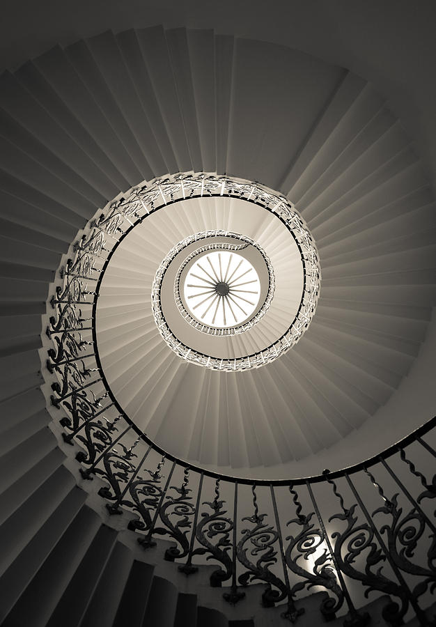 Tulip Stairs from Below Photograph by Ross Henton