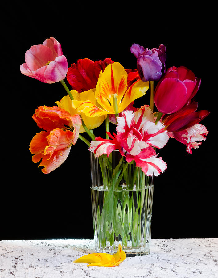 Tulip Still Life Photograph by Georgette Grossman