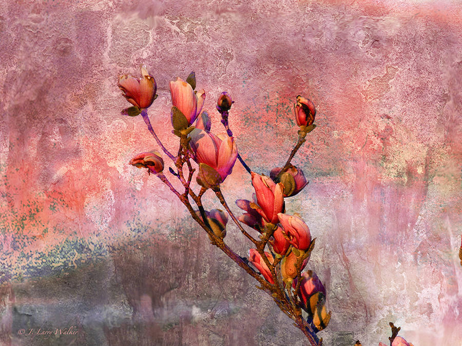 Flower Digital Art - Tulip Tree Budding by J Larry Walker