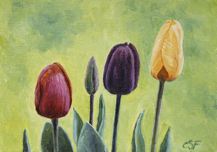 Tulip Trio Painting by Crista Forest