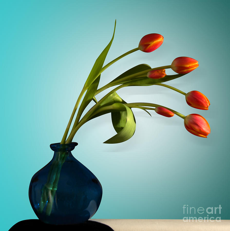 Nature Photograph - Tulips 6 by Mark Ashkenazi