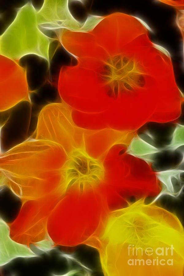 Tulip Photograph - Tulips-6681-Fractal by Gary Gingrich Galleries