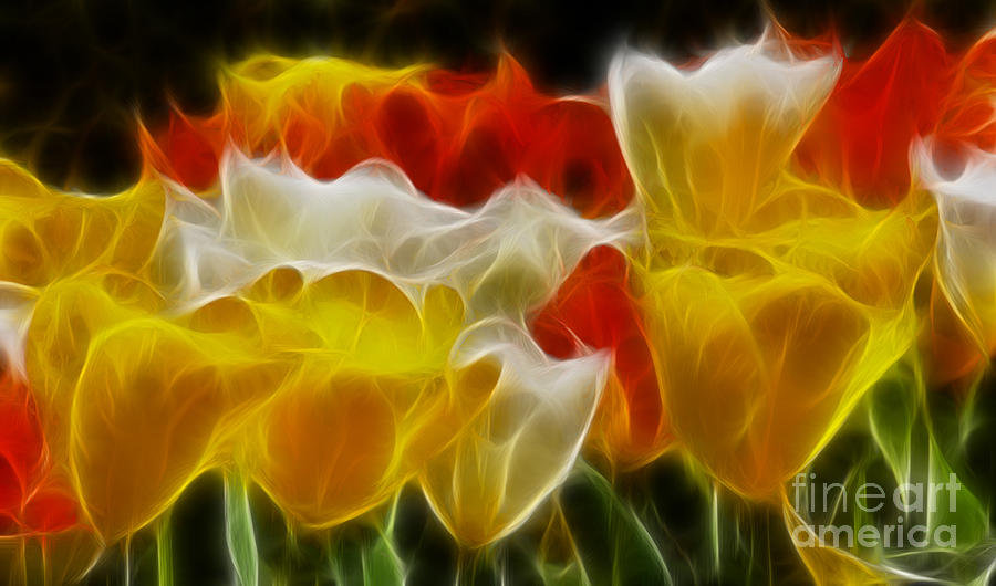 Tulip Photograph - Tulips-6714-Fractal by Gary Gingrich Galleries