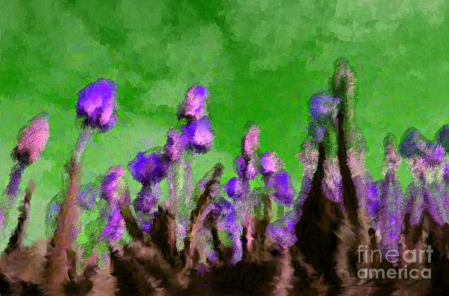 Flower Digital Art - Tulips Abound Green Purple by Holley Jacobs