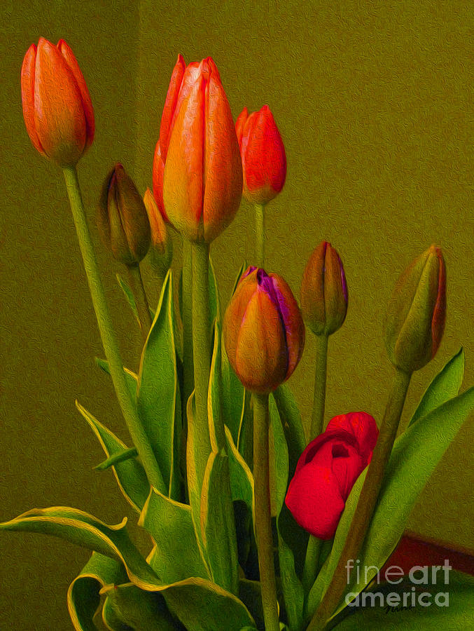 Tulips Against Green Photograph by Nina Silver