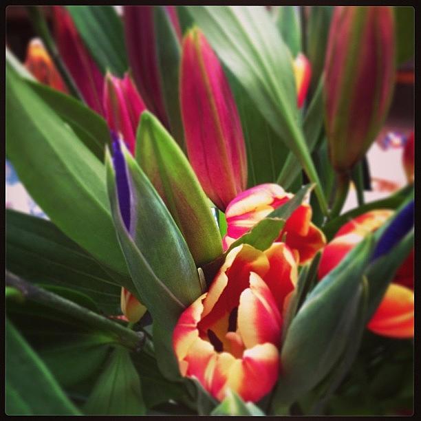 Tulip Photograph - #tulips And #lillies Arrangement From by Bryce Gruber