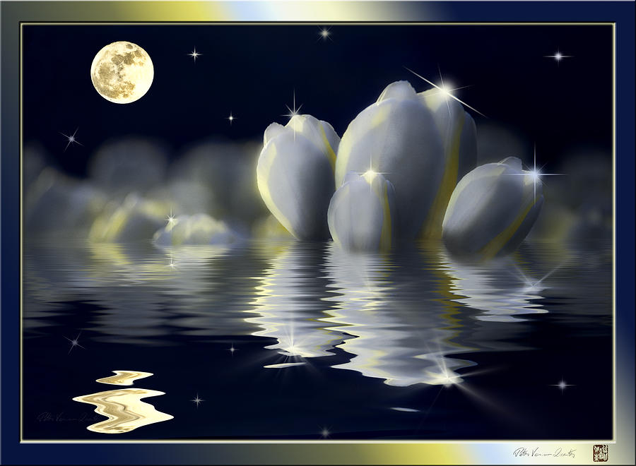 Tulips and Moon reflection Mixed Media by Peter V Quenter