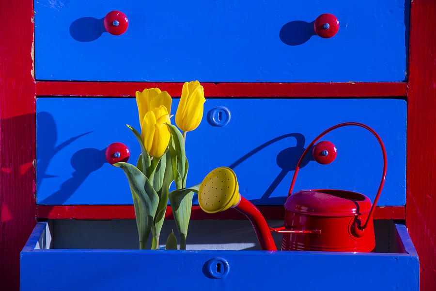 Tulip Photograph - Tulips and watering can  by Garry Gay