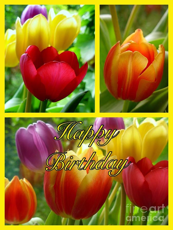 Rainbow Tulips Birthday Greeting 2 Photograph by Joan-Violet Stretch