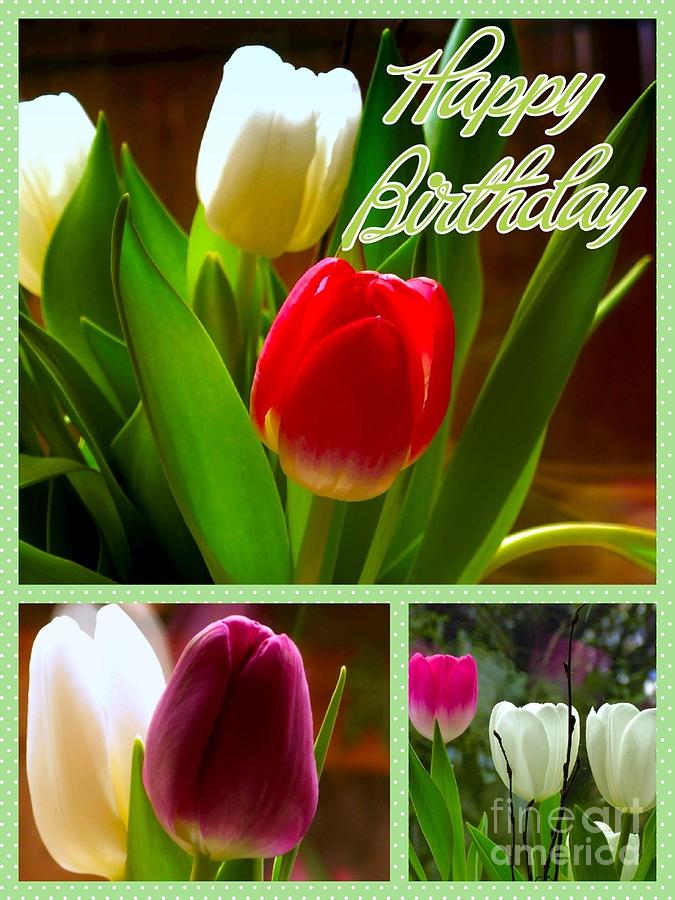 Rainbow Tulips Birthday Greeting Photograph by Joan-Violet Stretch