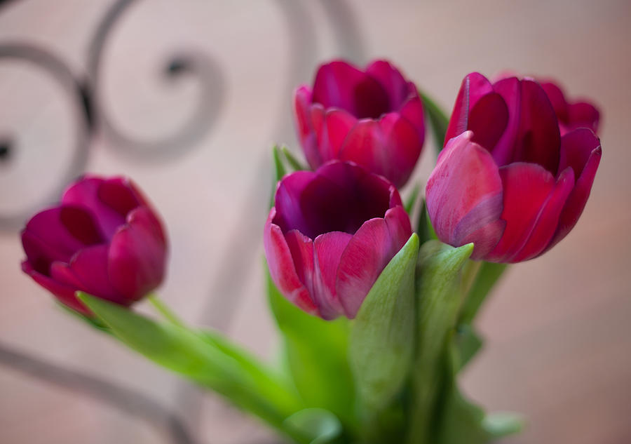 Tulips Photograph by Carole Hinding