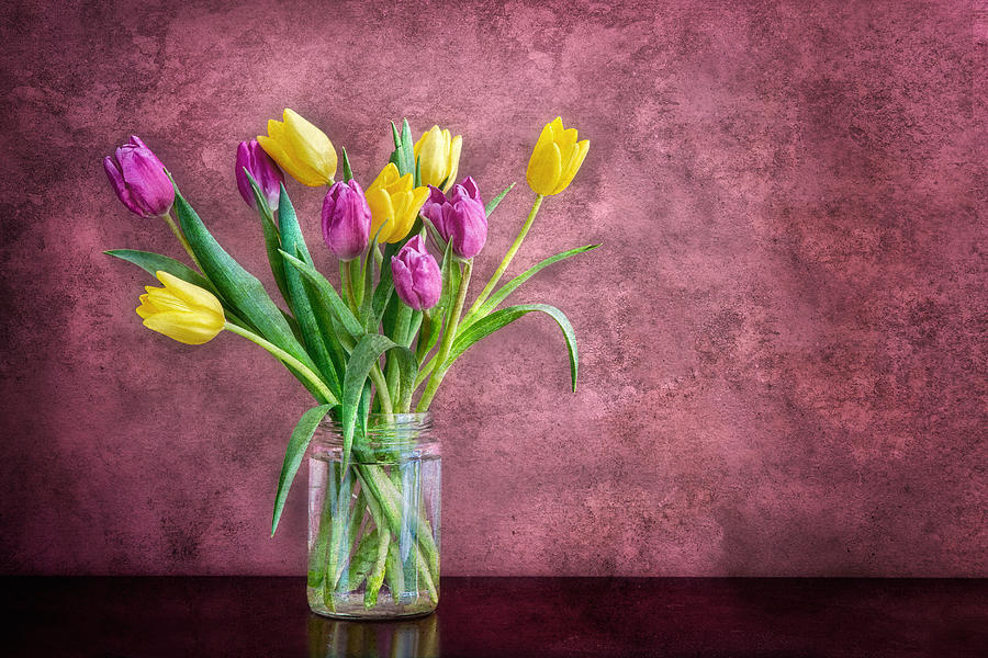Tulips Photograph by Darylann Leonard Photography