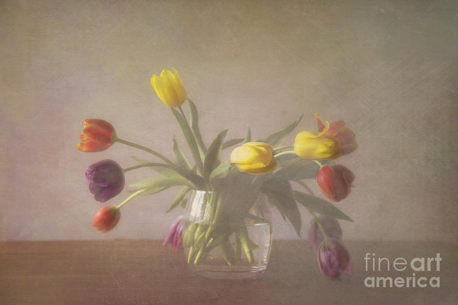 Tulip Photograph - Tulips by Elena Nosyreva