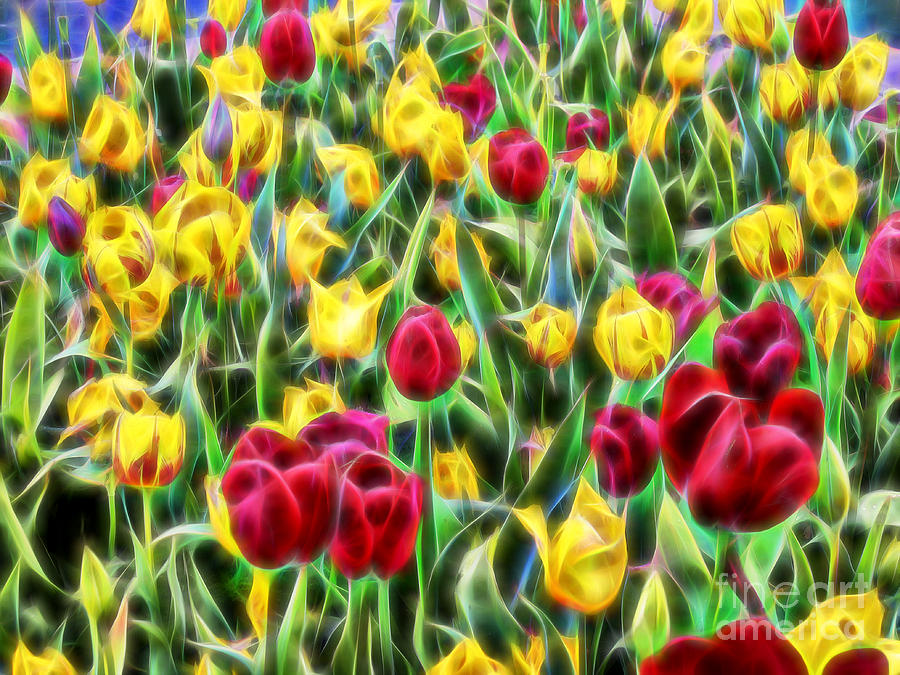 Tulips Energized Digital Art by Timothy Hacker