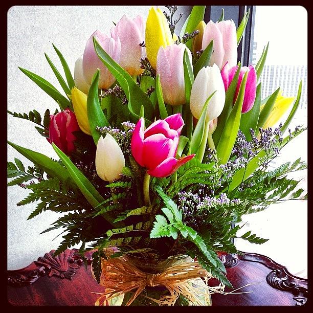 Summer Photograph - #tulips #flowers #flower #tagsforlikes by Amanda Max