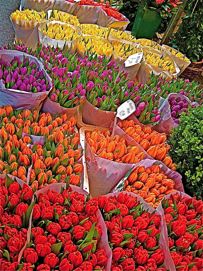 Tulips for Sale in Amsterdam-Netherlands Photograph by Ruth Hager
