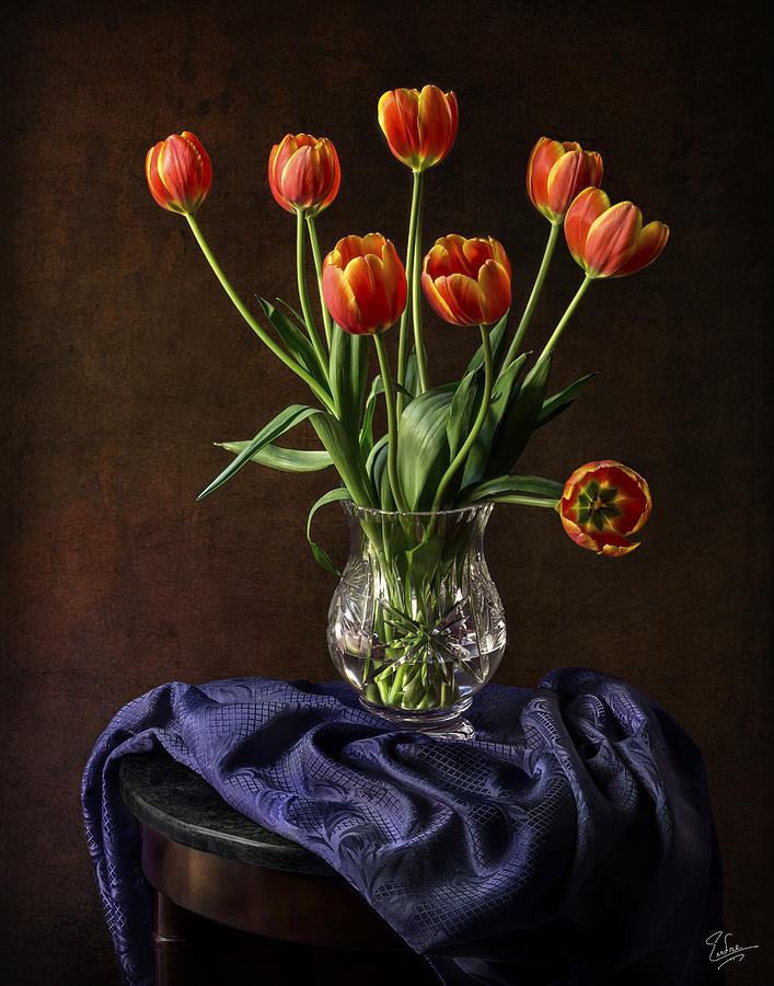 Tulips In A Crystal Vase Photograph by Endre Balogh