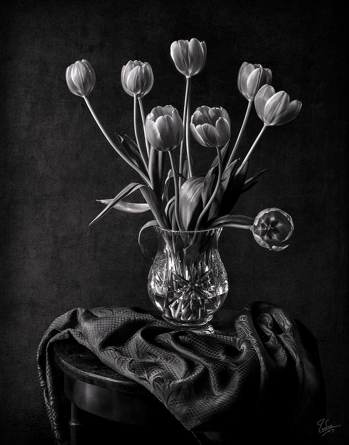 Tulips In A Vase Black and White Photograph by Endre Balogh