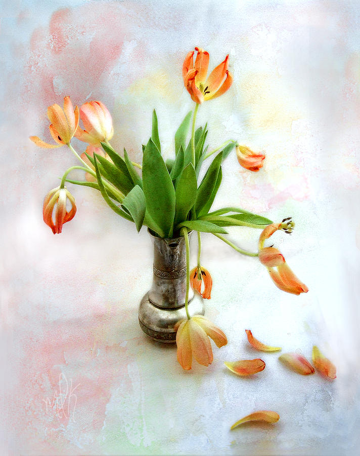Tulips in an Old Silver Pitcher Photograph by Louise Kumpf