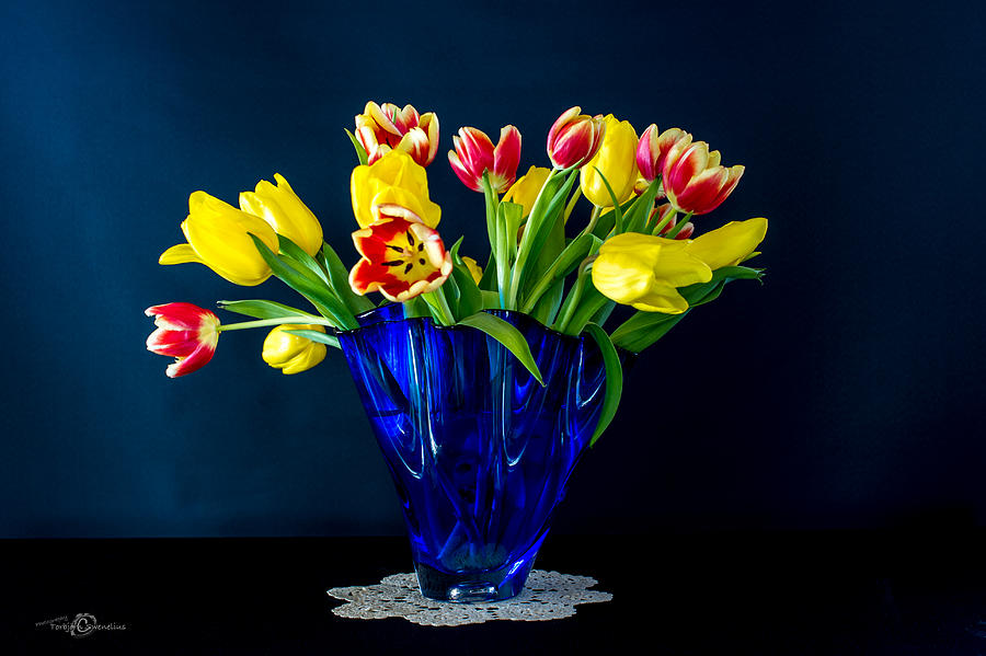 Tulips in Blue Photograph by Torbjorn Swenelius